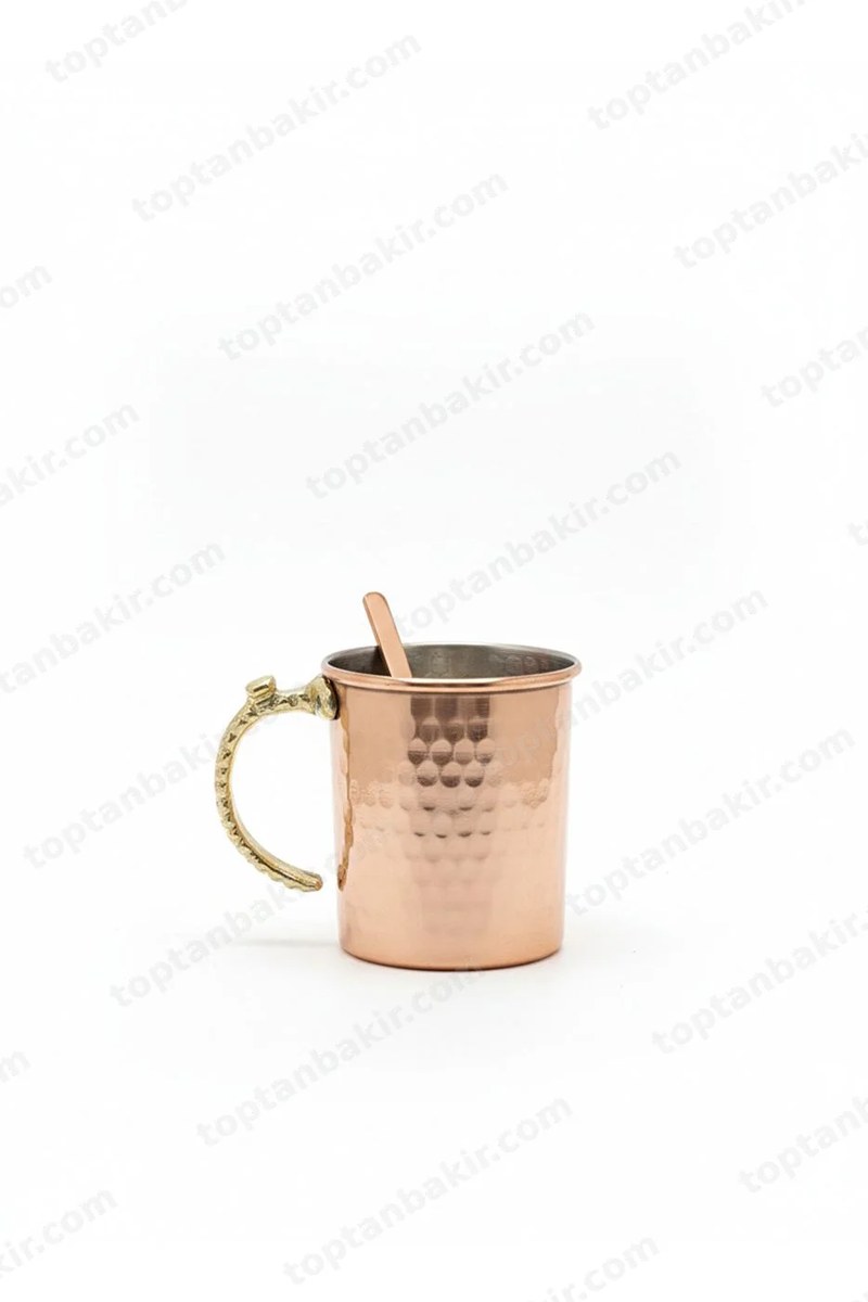 Copper Mug with Brass Handle and Copper Rod Detail